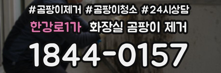 한강로1가 화장실 곰팡이 제거