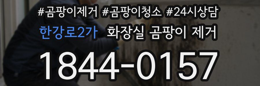한강로2가 화장실 곰팡이 제거