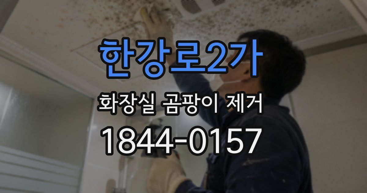 한강로2가 화장실 곰팡이 제거