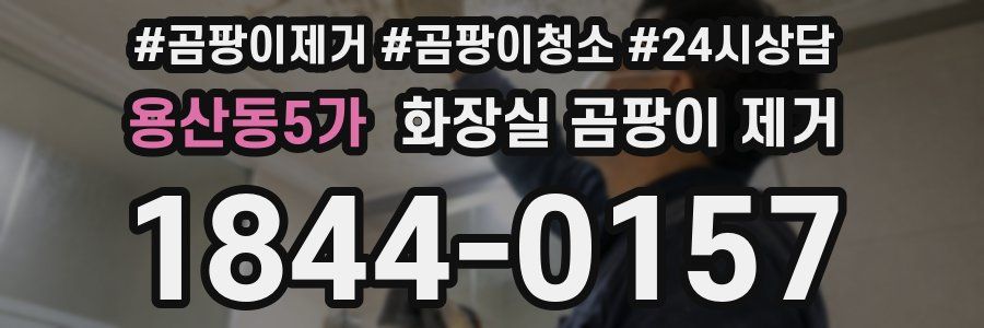 용산동5가 화장실 곰팡이 제거