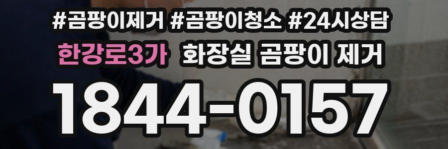 한강로3가 화장실 곰팡이 제거