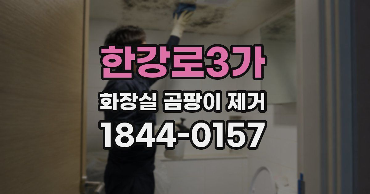 한강로3가 화장실 곰팡이 제거