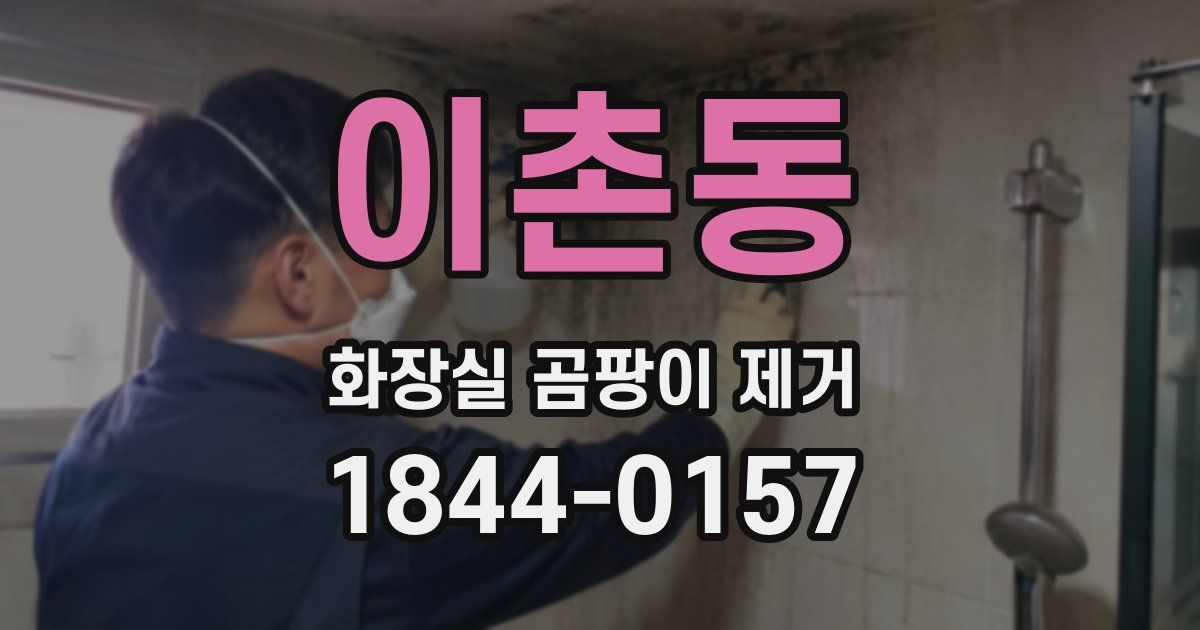 이촌동 화장실 곰팡이 제거