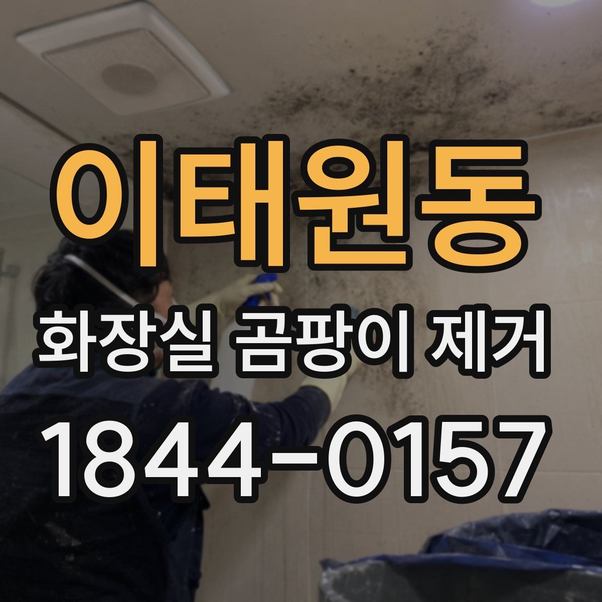 이태원동 화장실 곰팡이 제거 눅눅한 공간에서 생기는 흔적 구분법