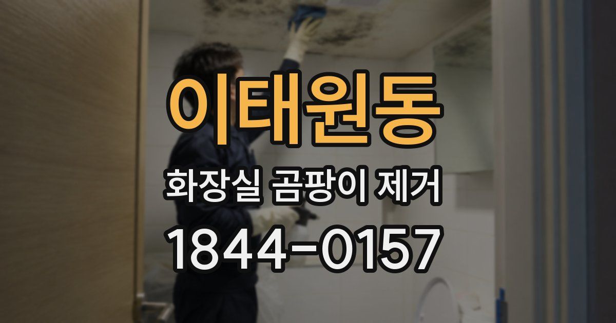 이태원동 화장실 곰팡이 제거