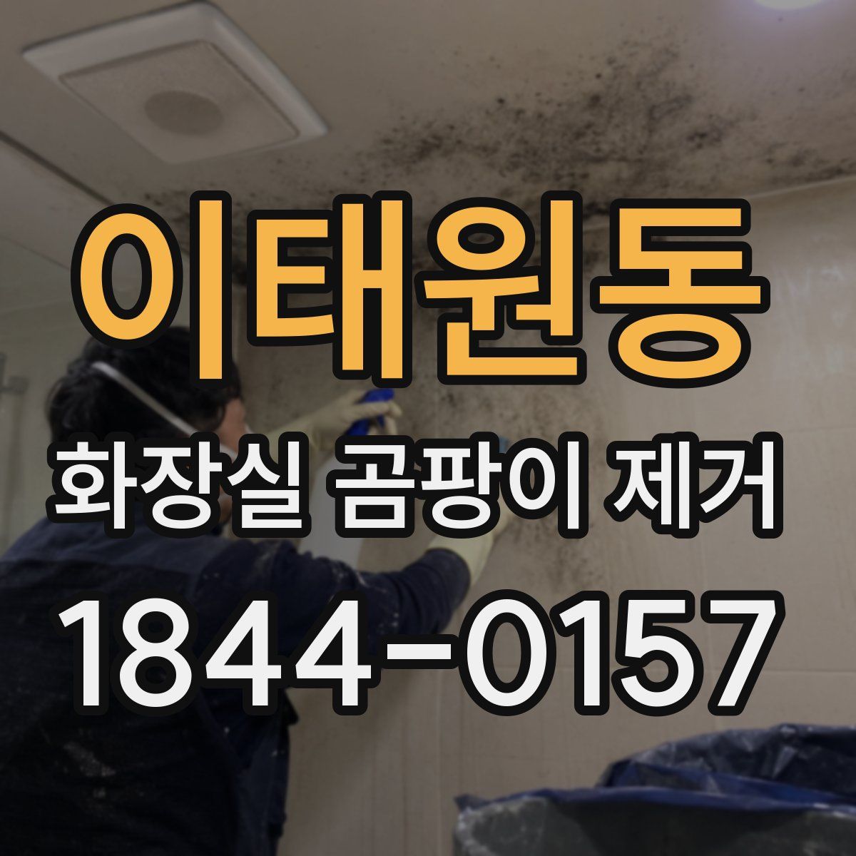 이태원동 화장실 곰팡이 제거