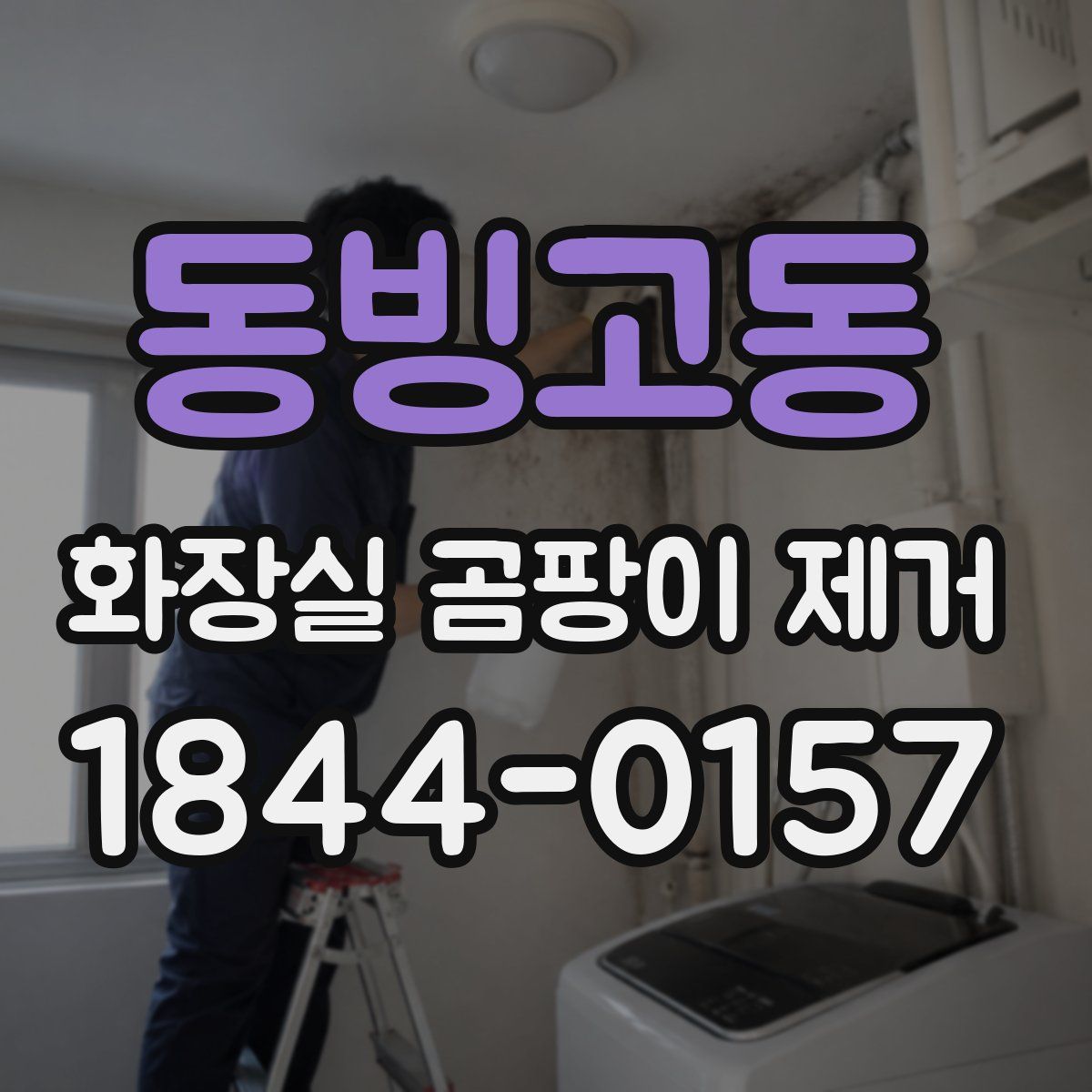 동빙고동 화장실 곰팡이 제거
