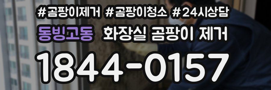 동빙고동 화장실 곰팡이 제거