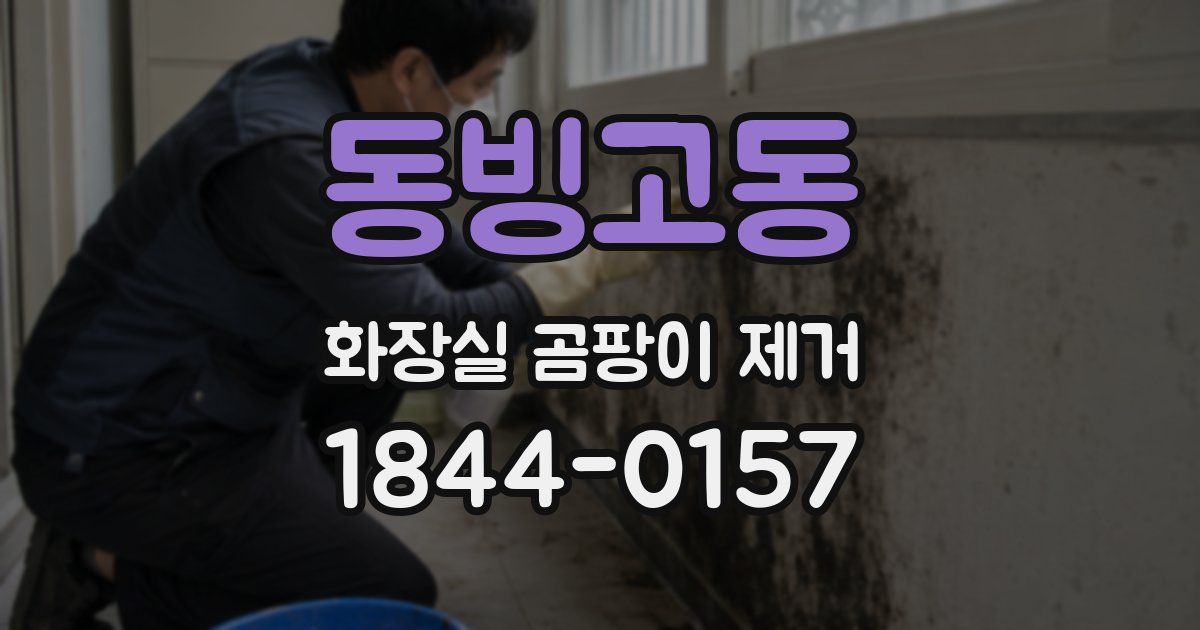 동빙고동 화장실 곰팡이 제거
