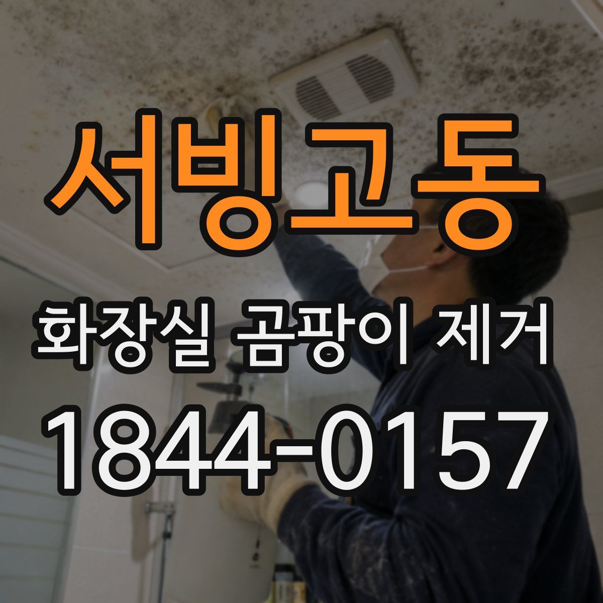 서빙고동 화장실 곰팡이 제거