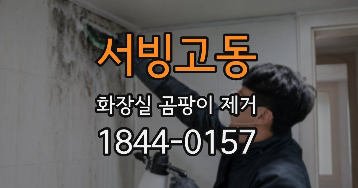 서빙고동 화장실 곰팡이 제거