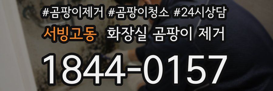 서빙고동 화장실 곰팡이 제거