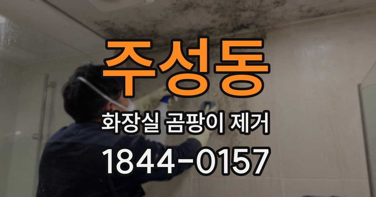 주성동 화장실 곰팡이 제거