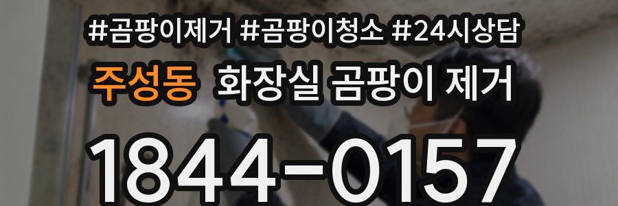 주성동 화장실 곰팡이 제거