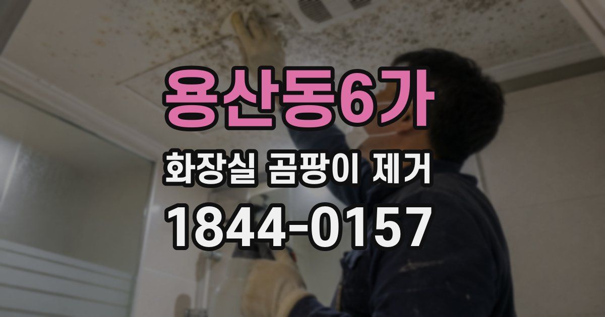 용산동6가 화장실 곰팡이 제거