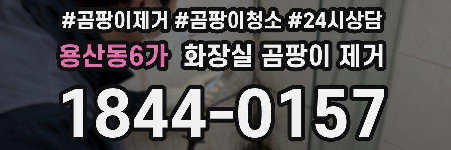 용산동6가 화장실 곰팡이 제거