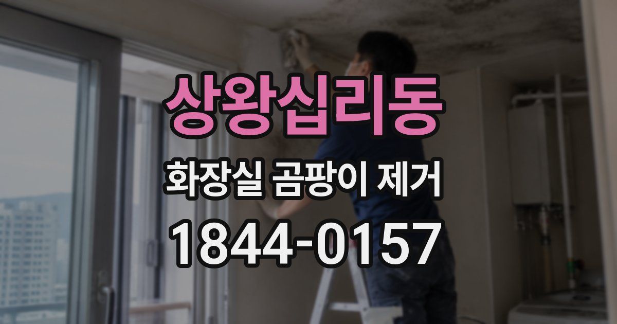 상왕십리동 화장실 곰팡이 제거