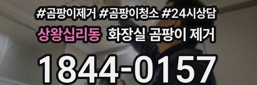 상왕십리동 화장실 곰팡이 제거