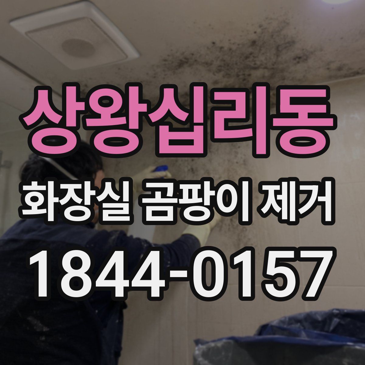 상왕십리동 화장실 곰팡이 제거