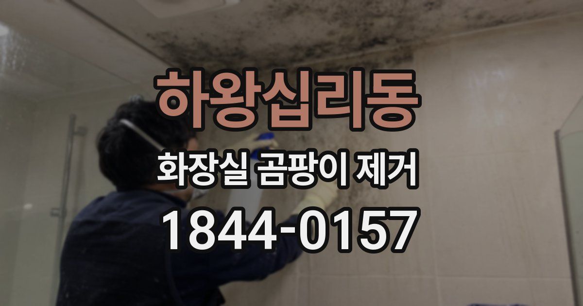 하왕십리동 화장실 곰팡이 제거