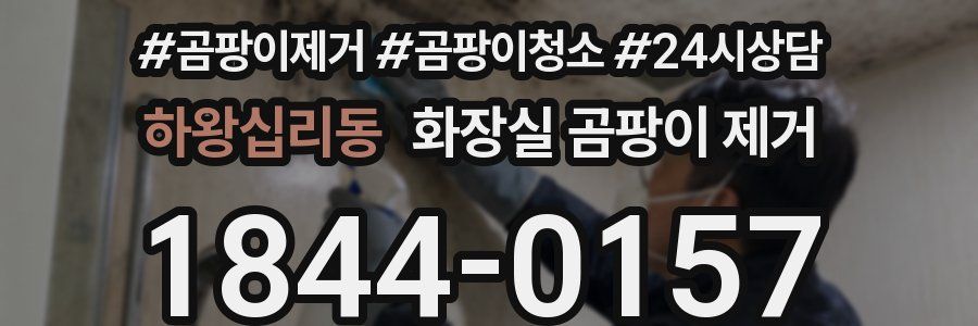 하왕십리동 화장실 곰팡이 제거
