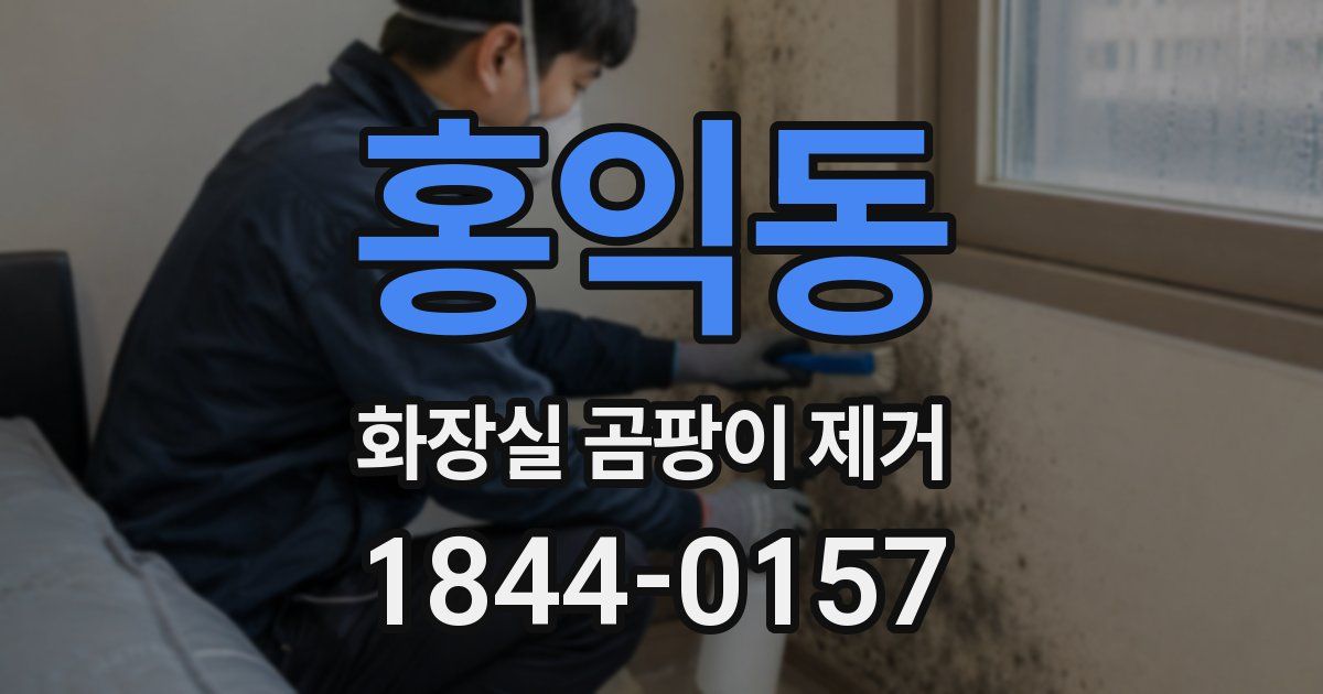 홍익동 화장실 곰팡이 제거