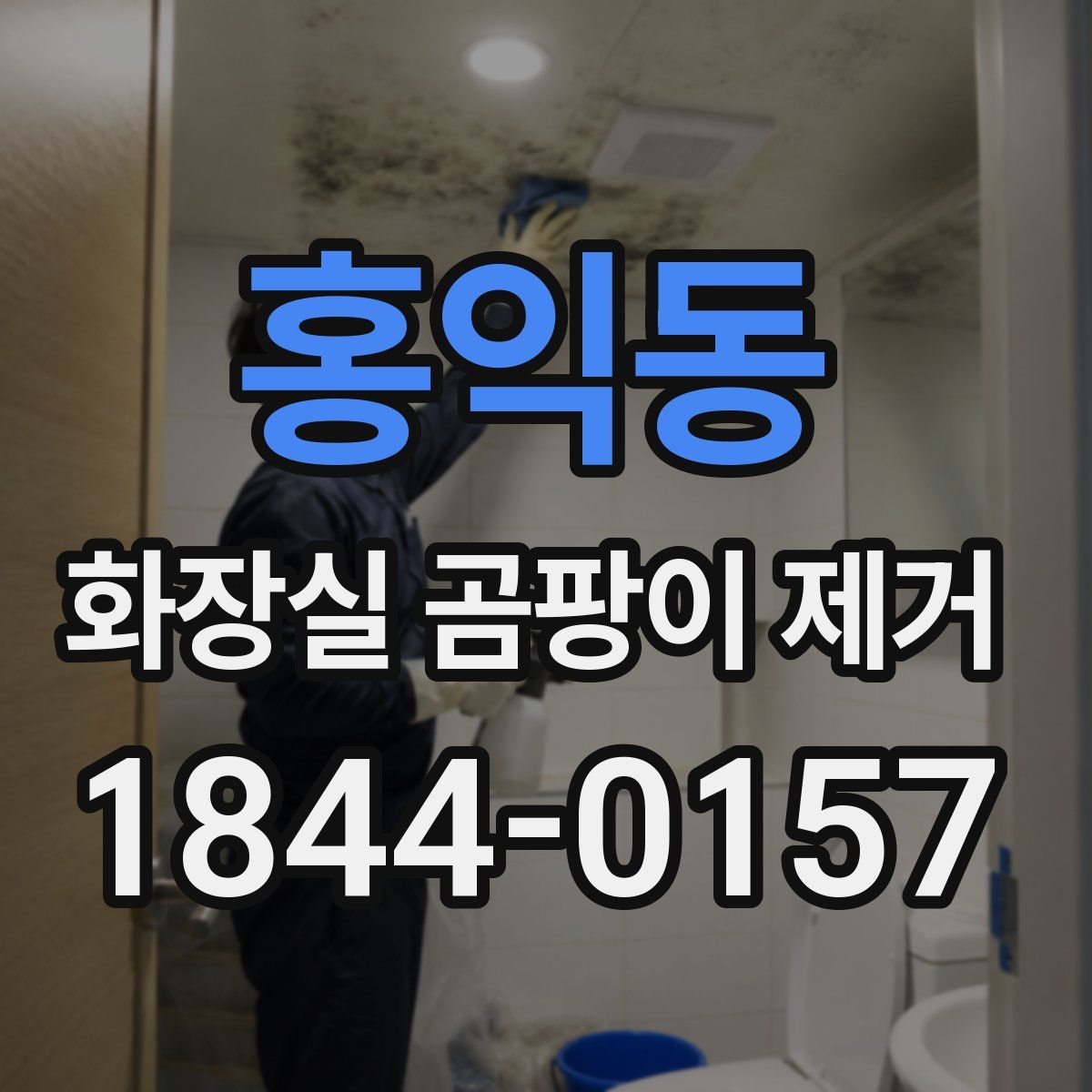 홍익동 화장실 곰팡이 제거
