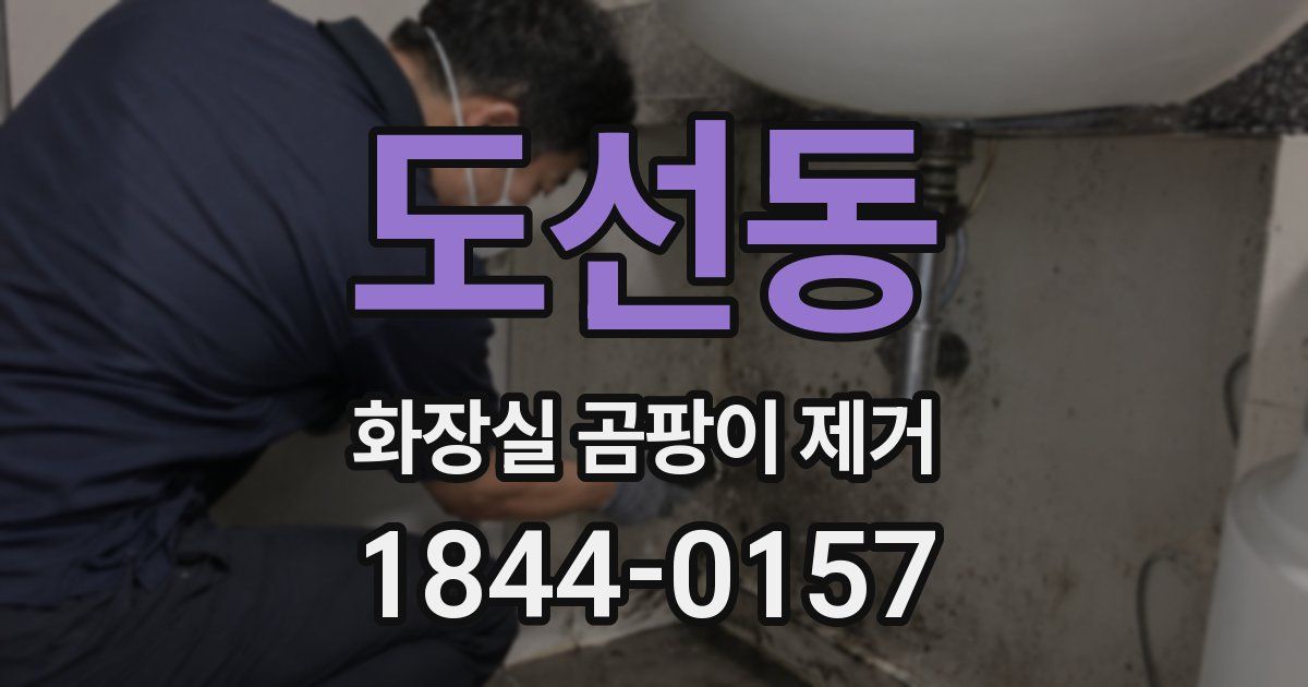 도선동 화장실 곰팡이 제거