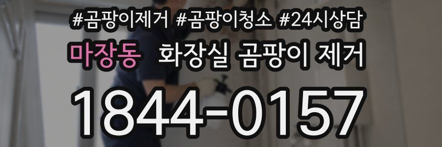 마장동 화장실 곰팡이 제거