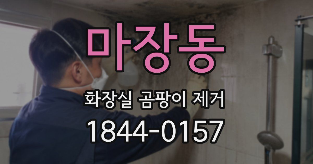 마장동 화장실 곰팡이 제거