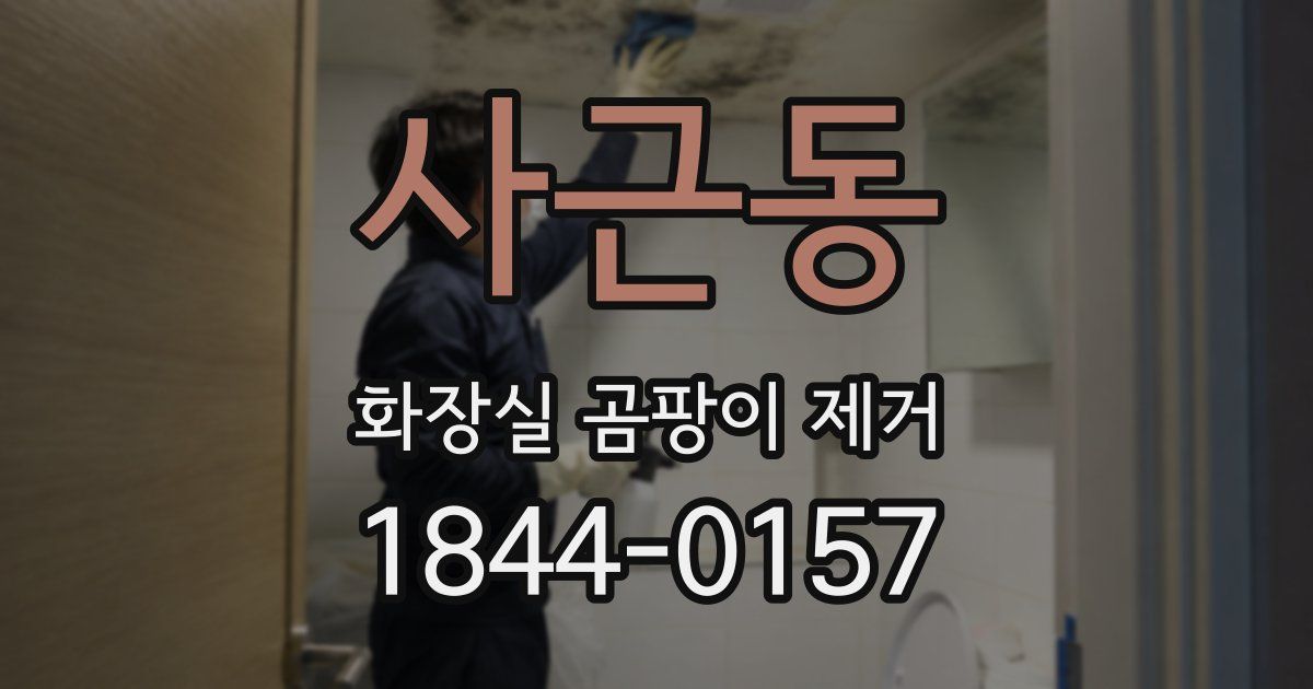 사근동 화장실 곰팡이 제거