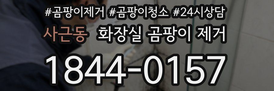 사근동 화장실 곰팡이 제거