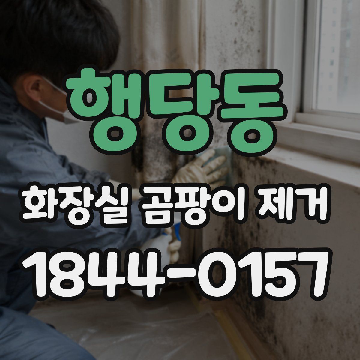 행당동 화장실 곰팡이 제거