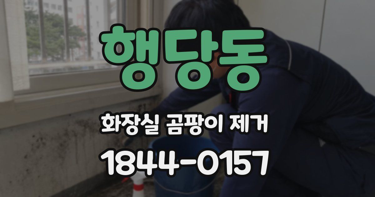 행당동 화장실 곰팡이 제거