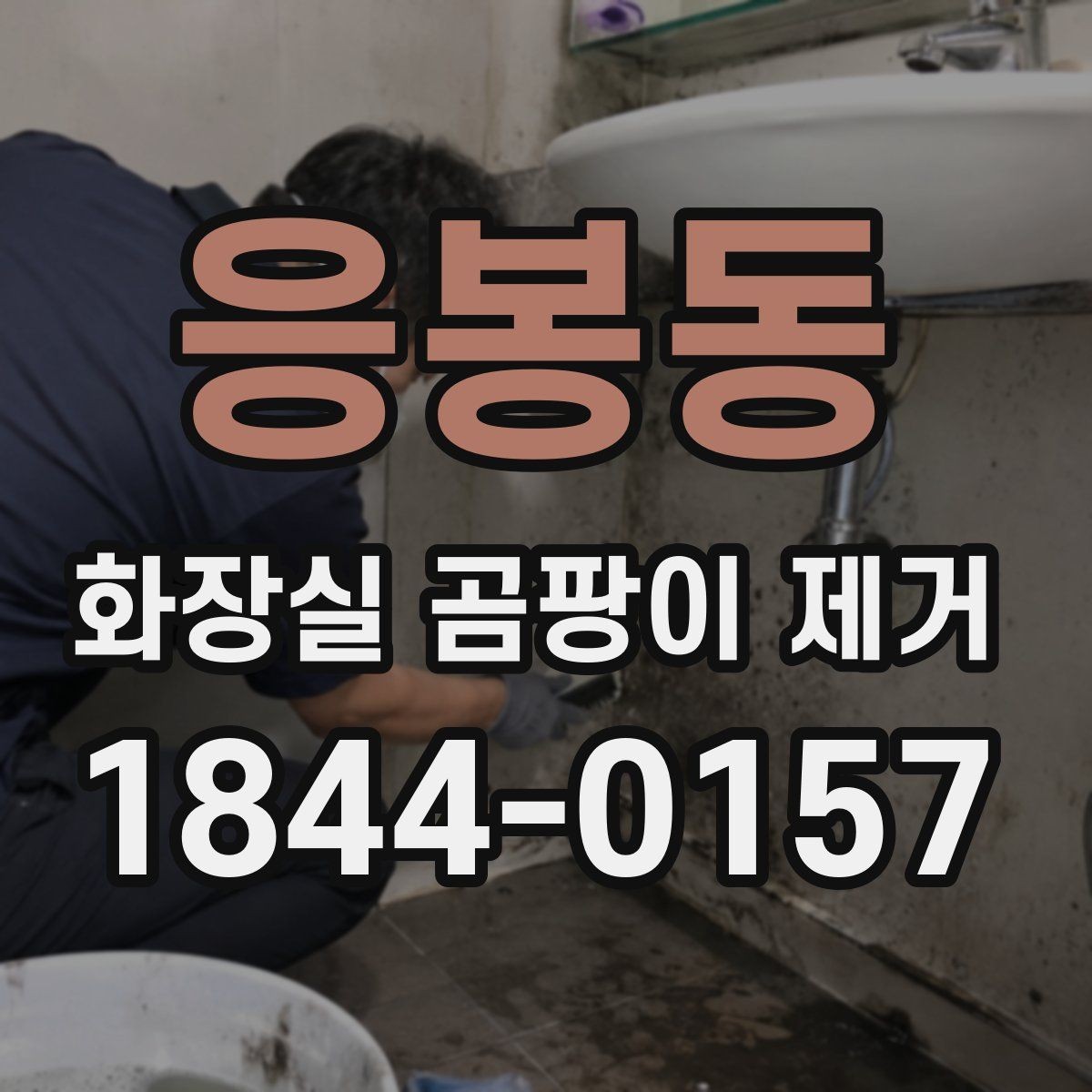 응봉동 화장실 곰팡이 제거 벽면과 천장 경계부부터 살피는 이유