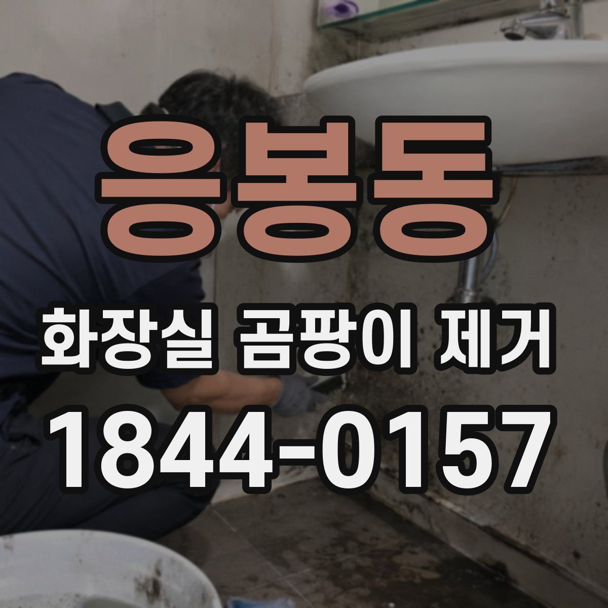 응봉동 화장실 곰팡이 제거