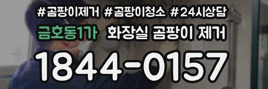 금호동1가 화장실 곰팡이 제거