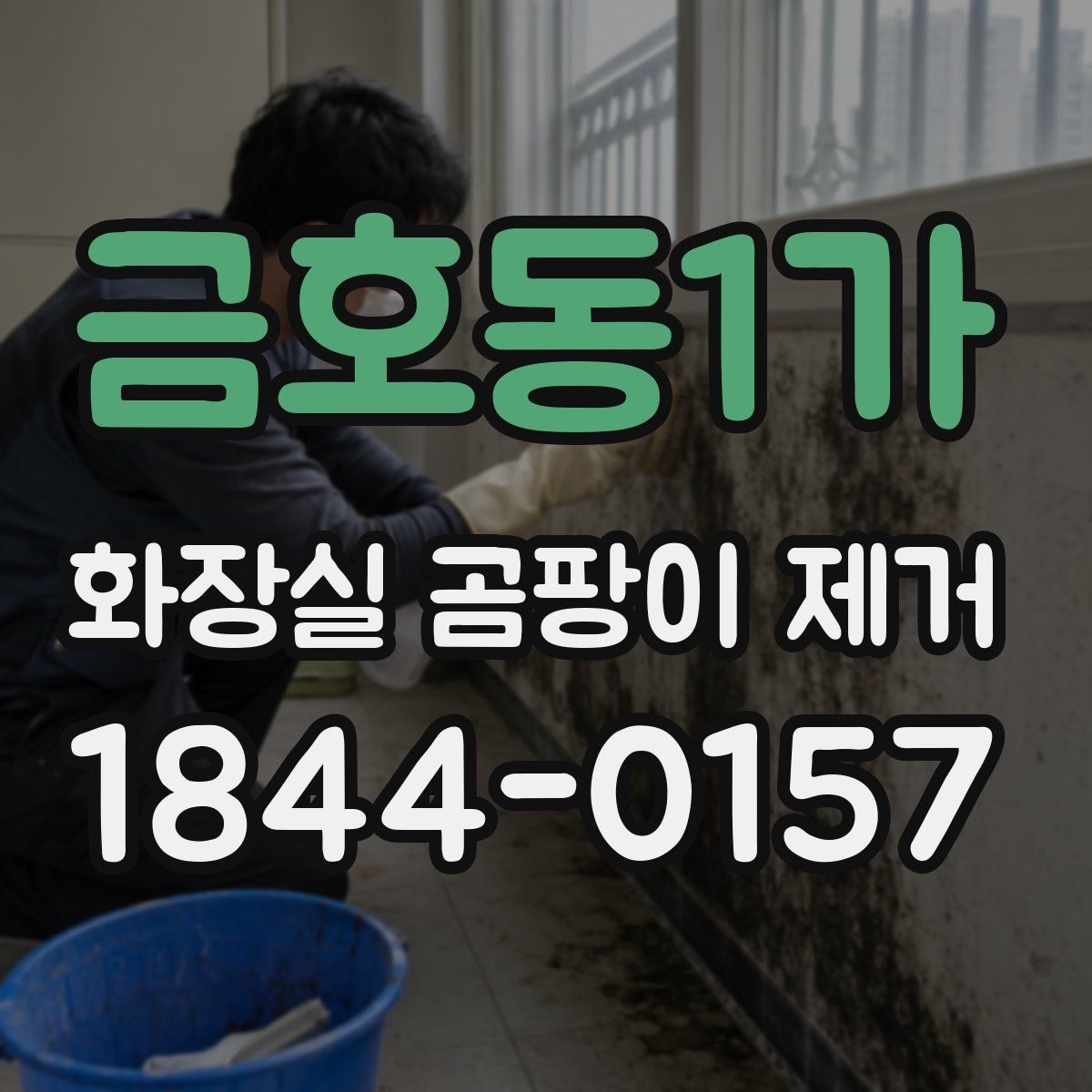 금호동1가 화장실 곰팡이 제거