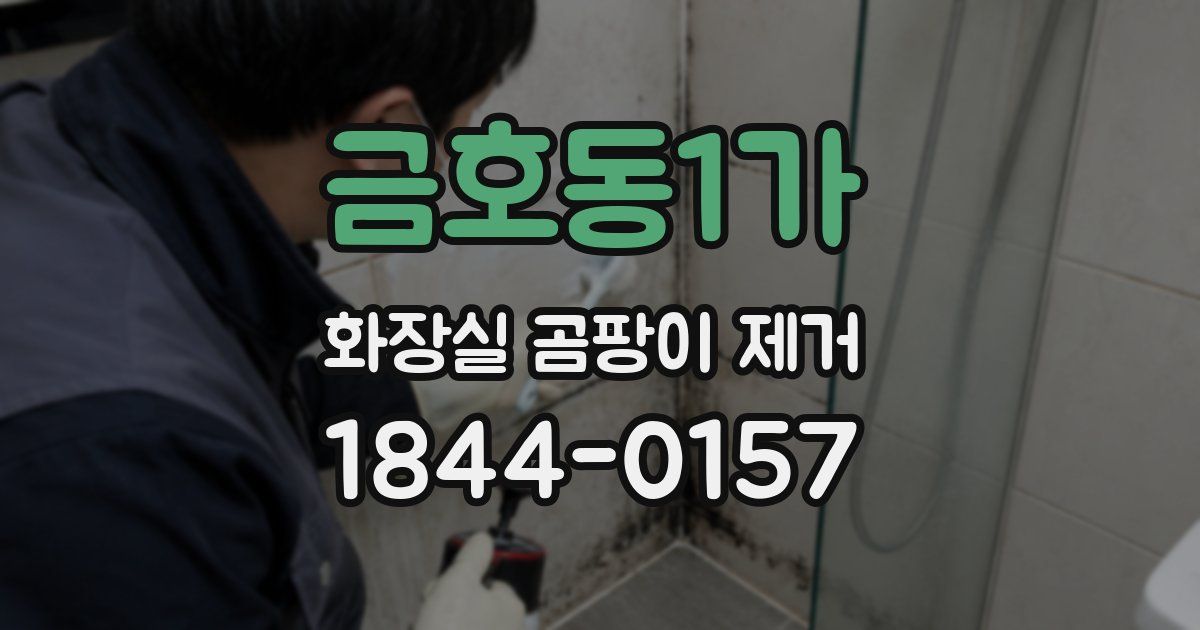 금호동1가 화장실 곰팡이 제거
