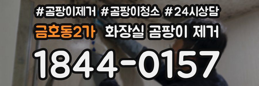금호동2가 화장실 곰팡이 제거