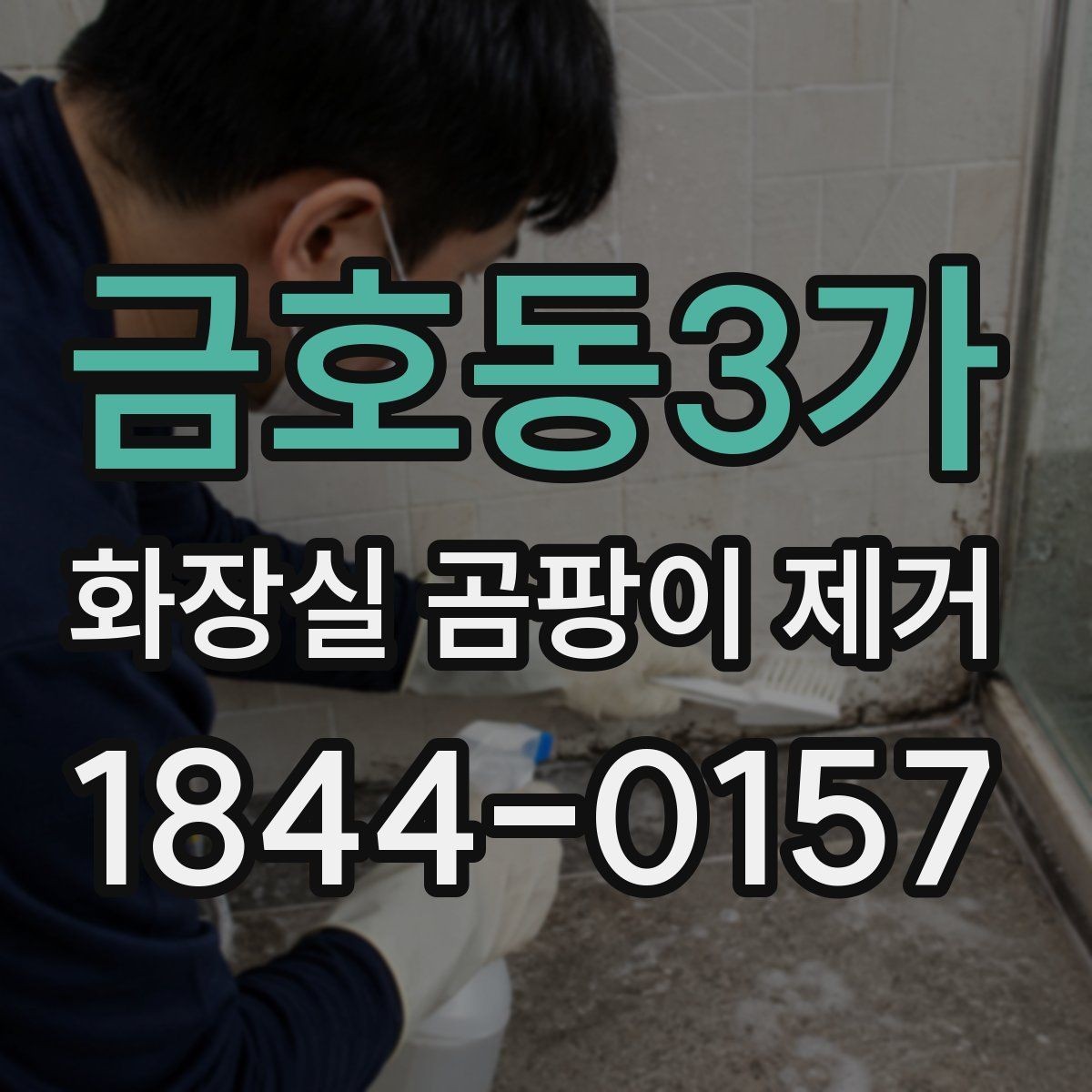 금호동3가 화장실 곰팡이 제거 표면 손상 없이 닦아내는 작업 방식