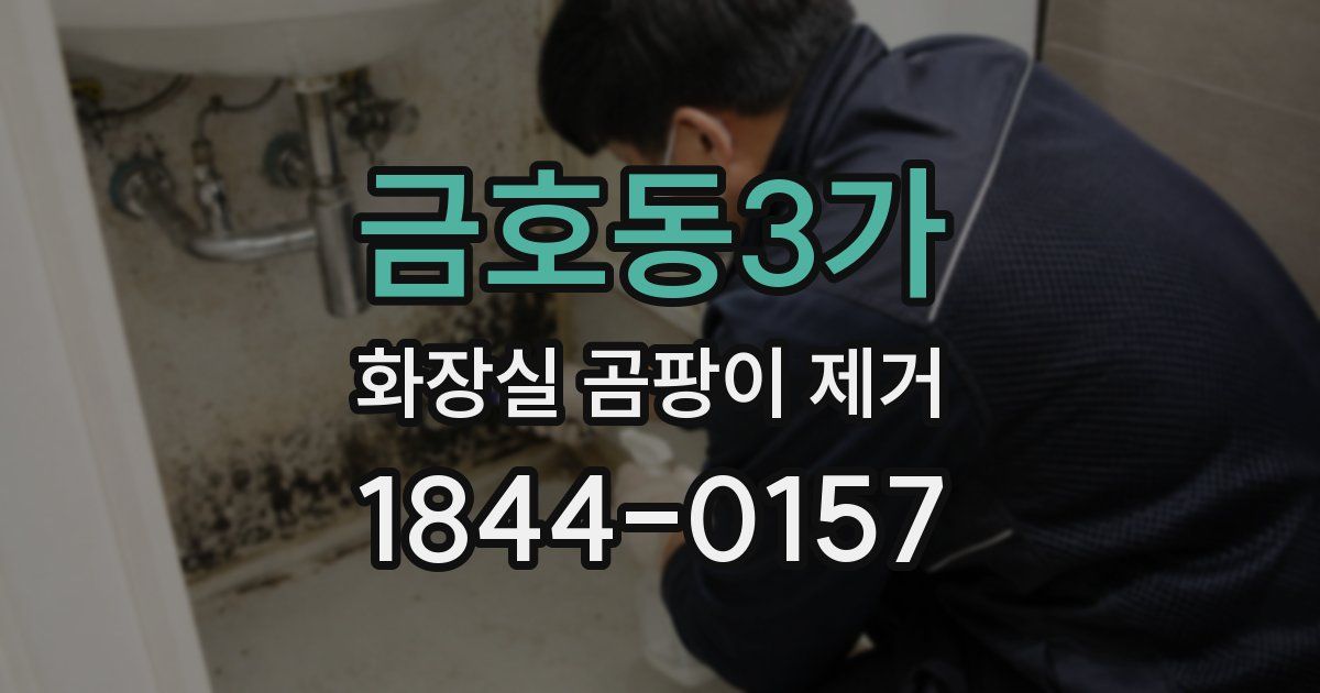금호동3가 화장실 곰팡이 제거
