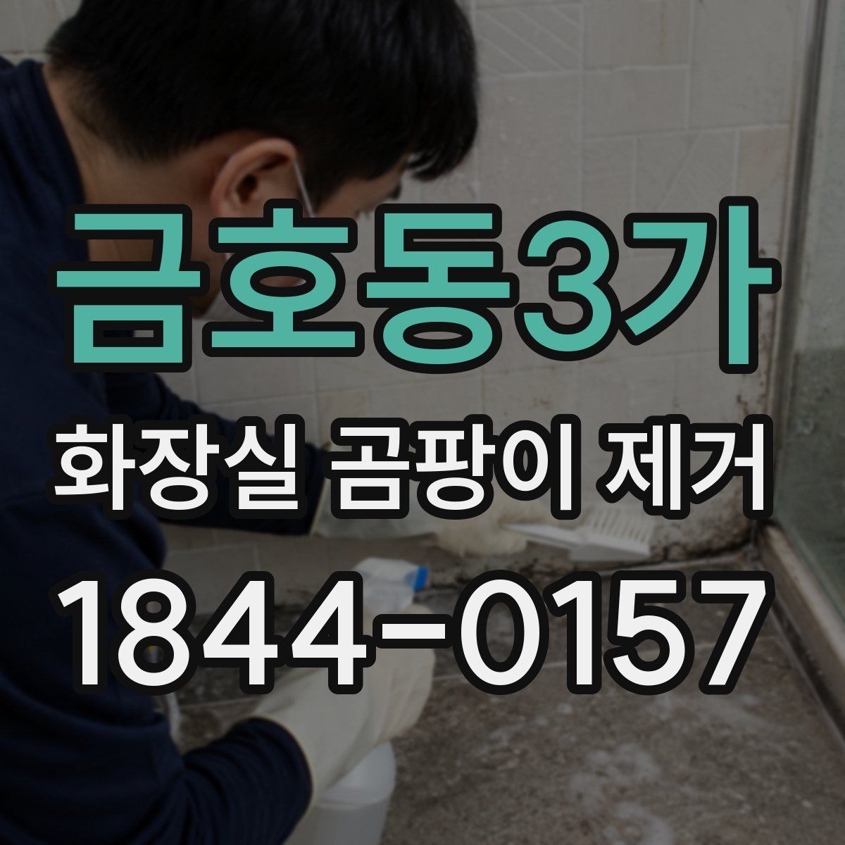 금호동3가 화장실 곰팡이 제거