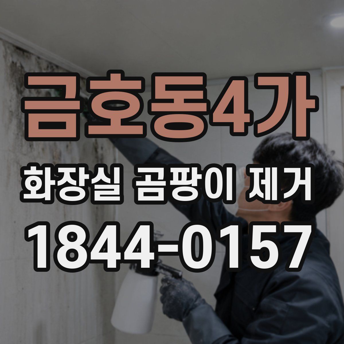 금호동4가 화장실 곰팡이 제거