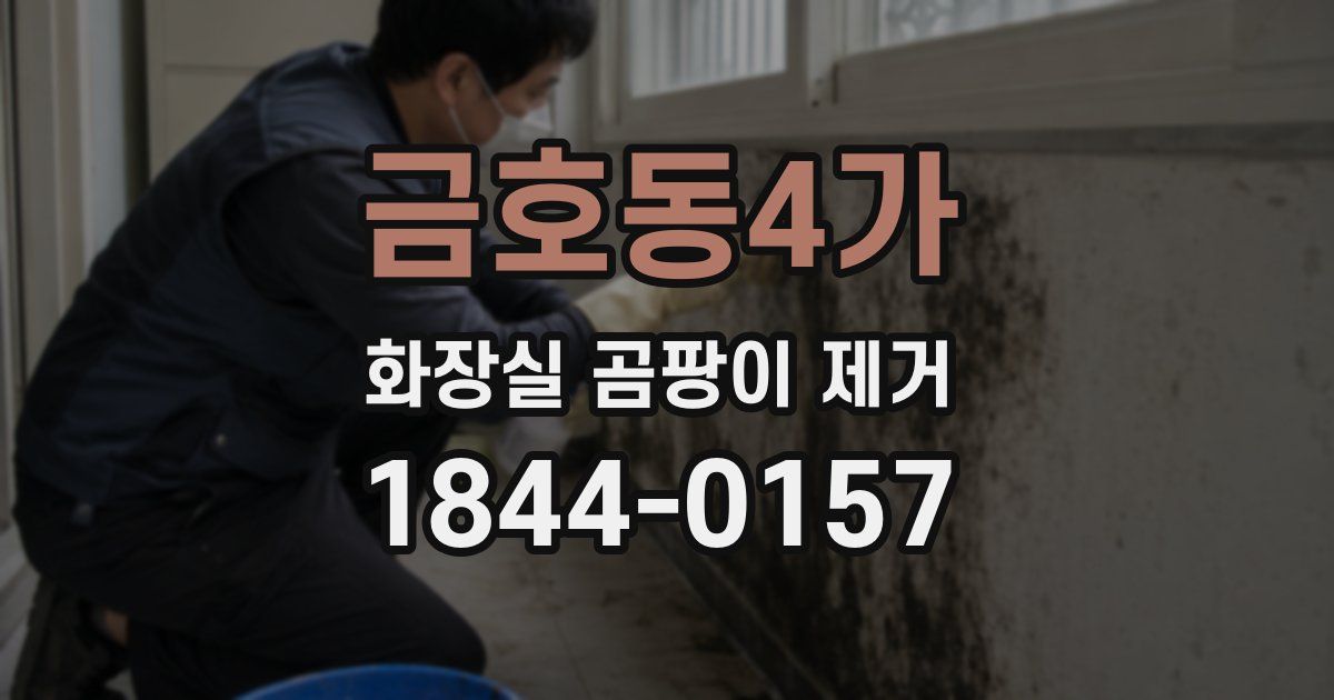 금호동4가 화장실 곰팡이 제거