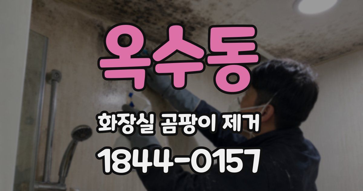옥수동 화장실 곰팡이 제거