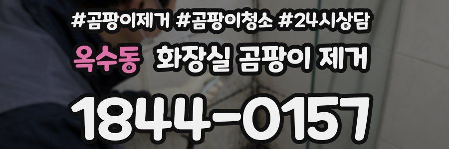 옥수동 화장실 곰팡이 제거
