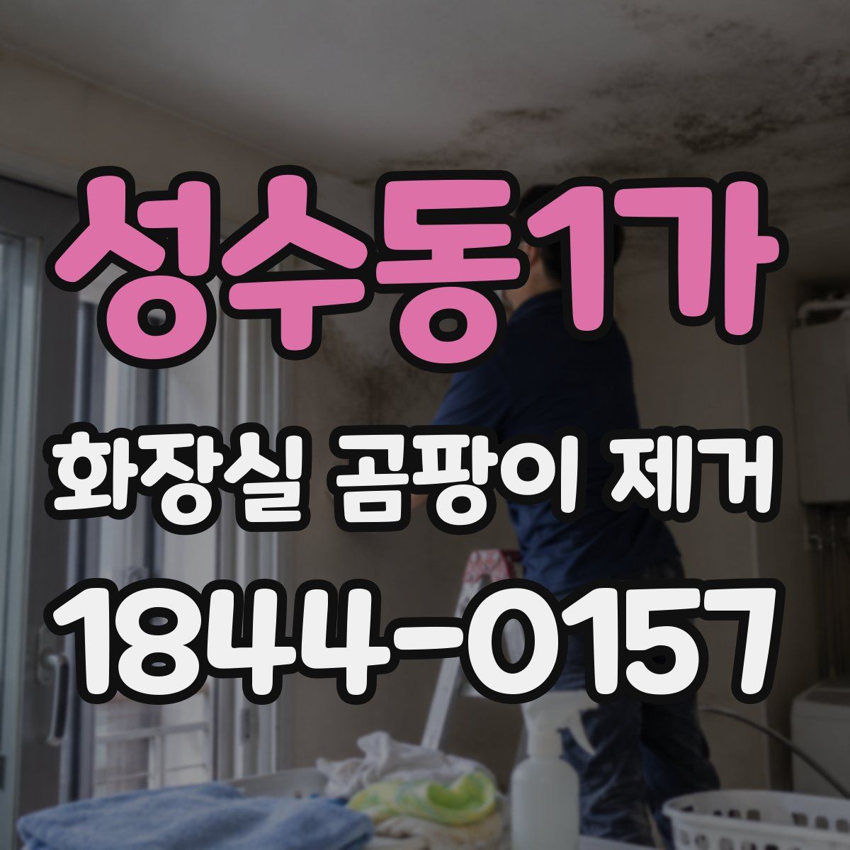 성수동1가 화장실 곰팡이 제거