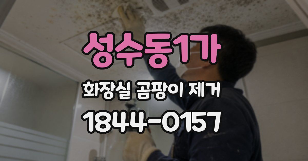 성수동1가 화장실 곰팡이 제거