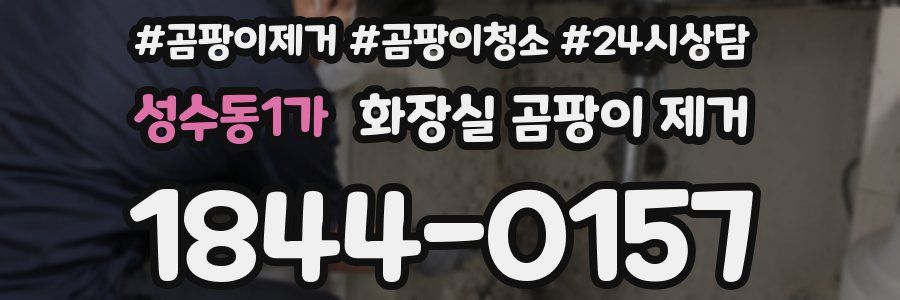 성수동1가 화장실 곰팡이 제거